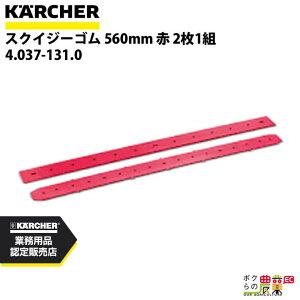 Pq[ XNCW[S 4.037-131.0 @p  21g @ ANZT @ KAERCHER