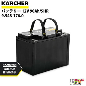 y12/1`12/31JÁIIm1/2ő100%PҌIvGg[zPq[ obe[ 9.548-176.0 @p obe[ 12V @ ANZT @ KAERCHER