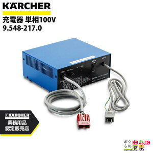 Pq[ [d 9.548-217.0 @p P100V @ ANZT @ KAERCHER
