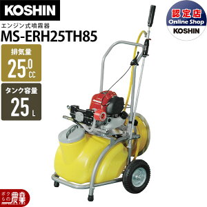 GW  Hi  MS-ERH25TH85  4Xg[N 4TCN  h 