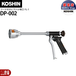 Hi p[c sXgmY t[htsXgFL-1 DP-002