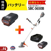 楽天市場】草刈り機 充電式 2個 36vの通販