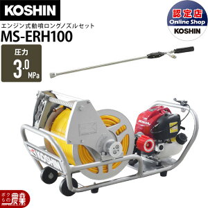 Hi GW   MS-ERH100 + OmY NZ-870 Zbgi  h 