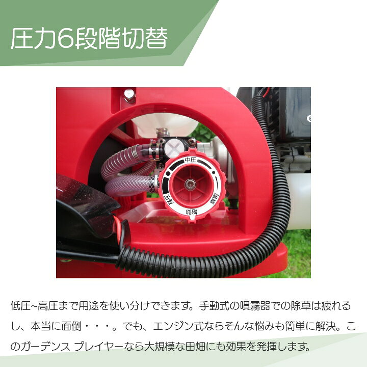 楽天市場】【最大1000円数量限定クーポン配布中☆早い者勝ち 