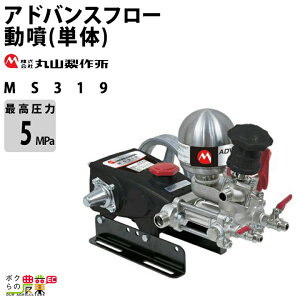 2025N12ח\ GW  ͕ ێR쏊 MS319 366599 AhoXt[(P)  h  Uz U 