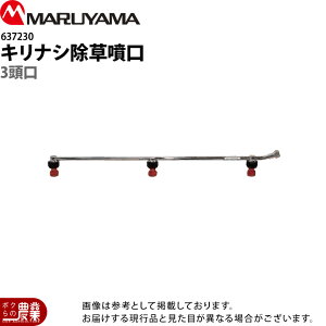 y12/1`12/31JÁIIm1/2ő100%PҌIvGg[zێR쏊 LiV 3 637230 p p p[c mY