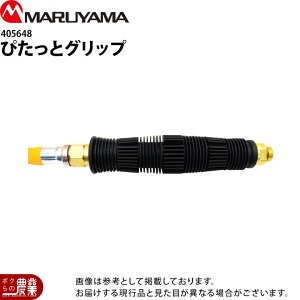 ێR쏊 ҂ƃObv 405648 p p p[c