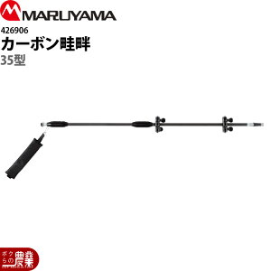 y12/1`12/31JÁIIm1/2ő100%PҌIvGg[zێR쏊 J[{l 35^ G1/2 426906 p p p[c mY