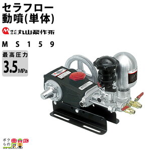 ێR쏊 Zt[iṔj MS157 354213  P̓  u^ h 