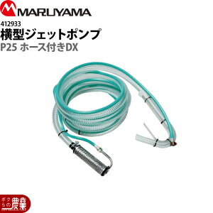 ێR쏊 ^WFbg|v P25 DX z[Xt 412933 p p p[c mY