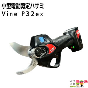 ySi|Cg10{IyVX[p[Z[聚vGg[za ^dnT~ Vine P32ex nT~ 