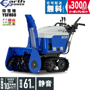 �y�����\��L�����y�[��������g����3000�~�N�[�|���v���[���g�z�A�[�X�p���[ ����@ �E�B���r�[ ����@ �ƒ�p YSF860 8�n�� ���ᕝ61.5cm EARTH POWER YSF-860 Willbe