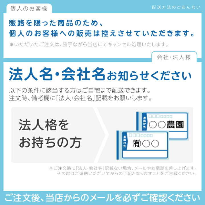 楽天市場】【4月限定！当選確率1/2☆最大100%P還元！要エントリー 