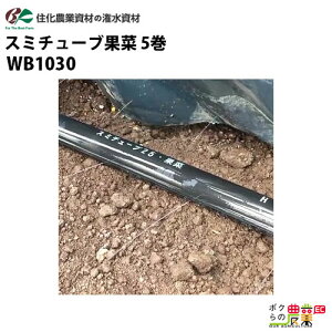 y12/1`12/31JÁIIm1/2ő100%PҌIvGg[zZ_Ǝ 󐅃`[u X~`[uʍ WB1030 200M ×5  }`  U ڋψꐫ80M _Ɨp