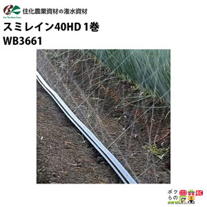 y12/1`12/31JÁIIm1/2ő100%PҌIvGg[zZ_Ǝ 󐅃`[u X~C40HD WB3661 100M × 1 In  U U12M _Ɨp