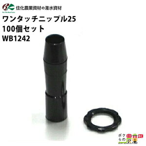 y12/1`12/31JÁIIm1/2ő100%PҌIvGg[zZ_Ǝ p ^b`jbv25 WB1242 100Zbg X~`[uV[Y _Ɨp