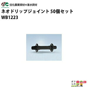 y12/1`12/31JÁIIm1/2ő100%PҌIvGg[zZ_Ǝ Ԍp lIhbvWCg WB1223 50Zbg lIhbv _Ɨp