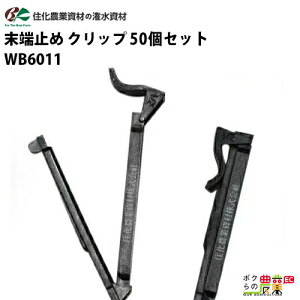 y12/1`12/31JÁIIm1/2ő100%PҌIvGg[zZ_Ǝ [~ Nbv WB6011 50Zbg X~TXCM X~TXCNEW}` X~TXC}[NII X~`[u _