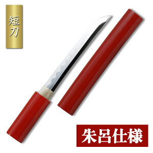 Z Ch 蓁  ͑ ͋[ p {   p     RXv ӏܗp [߂̐ߋ ǂ̓ H|i { Y  RNV CeA C