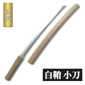   ͋[ p {       RXv ӏܗp A  H|i { Y  RNV CeA Cxg ZS-601S