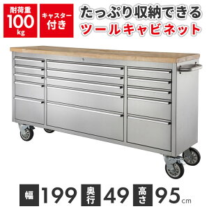 Lrlbg LX^[t XeX ω׏d100kg 199cm c[Lrlbg K[W [ X X  ItBX DIS-394