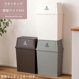 ゴミ箱 45L ダストボックス ペール 薄型 ワイド フラップ ミニキャスター付き 大容量 分別 キッチン リビング ダイニング オフィス 一人暮らし 新生活 日本製 国産 LFS-768BR LFS-768GR LFS-768WH