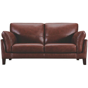 \t@ 2l| 178cm \t@[ ֎q {v U[ ґ Sn A^C WE-250BK WE-250BR