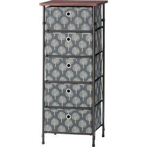 ȒPg `FXg5D 5i 40×s32×93cm `FXg [bN ^X {bNX [ bN ܂肽 ܂ ȒP   XeCz[ LFS-655BE LFS-655GY