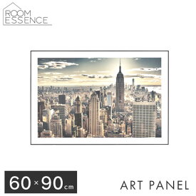アートパネル 60×90cm グラフィックパネル デザインボード アート 写真 風景 景色 インテリア 飾り 壁掛け リビング 玄関 モダン おしゃれ カラフル ART-199G