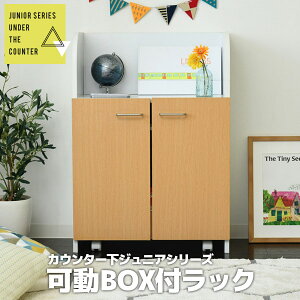  bN  I LX^[t 85 Vv RpNg I hZbN {bNX [ qƋ q FDK-0003