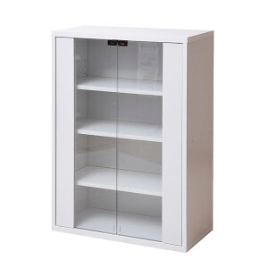 KX Lrlbg 60 fBXvC RNVP[X {I I ubNbN R~bNbN }KWbN ubNVFt bN [ G[ I ؐ FR-046