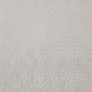 y@l̂ݖzzyLO1ʁzjtH[ z LTCY nK[t JX^^Cv TVcP[X RNVP[X { Y fBXvC W {\ 싅 TbJ[