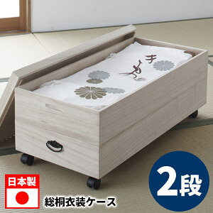 ˈߏփP[X 2i LX^[t ˈߑ ˃P[X ؐ ЂȐl`  ߗ 94100