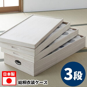 ؂Ȉߑ̎[ɕ֗ȋˈߏփP[X 3i ˈߑ ˃P[X ؐ ЂȐl`  ߗ 94101