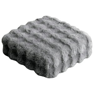 yz NbV 傫  Q  w tANbV zc ֎q \t@ RpNg l炵 rO k Vv 킢 Foure t[ CN-420 CN-