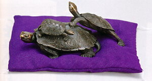 u@N@T@T˒ieqTj@쁡@X^(uY)@˔yz