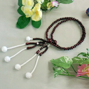 SGI�E�n���w��E���@���@�@�{���i�{�A�j���쁟�g�~�@������������[�@�y�˔��t�z