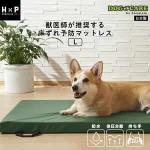 【最大50%OFFクーポン 10/30お昼12:30〜】ドッグケア 防水マットレス Lサイズ 床ずれ 予防 ベッド 介護 清潔 小型犬 中型犬対応 日本製 職人の手仕事 プレゼント ギフト
