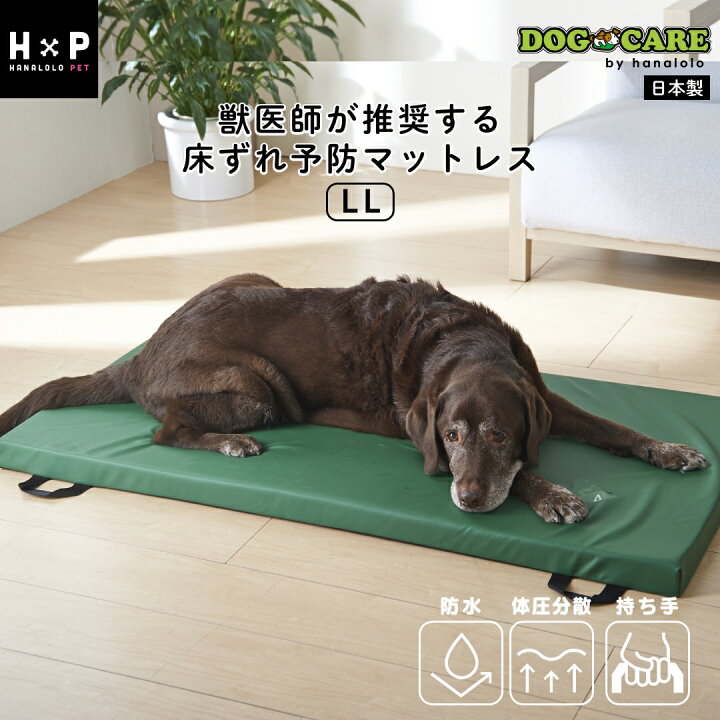 楽天市場】【全品10％CP】ドッグケア 防水マットレス LLサイズ 