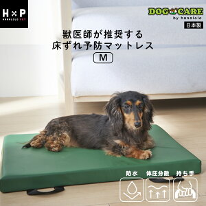 yXgXp[gIő50OFFN[|zhbOPA h}bgX MTCY  \h xbh   ^ ^Ή { El̎d v[g Mtg