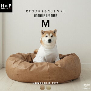 uO Si10OFF 12/3vybgxbh MTCY U[  _ɂybgxbh ^ ^ ^ {̂ v  CeA ybg\t@  ˂ r[YNbV  { v