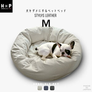 uO Si10OFF 12/3vybgxbh MTCY U[  _ɂybgxbh ^ ^ ^ {̂ v  CeA ybg\t@  ˂ r[YNbV  { 