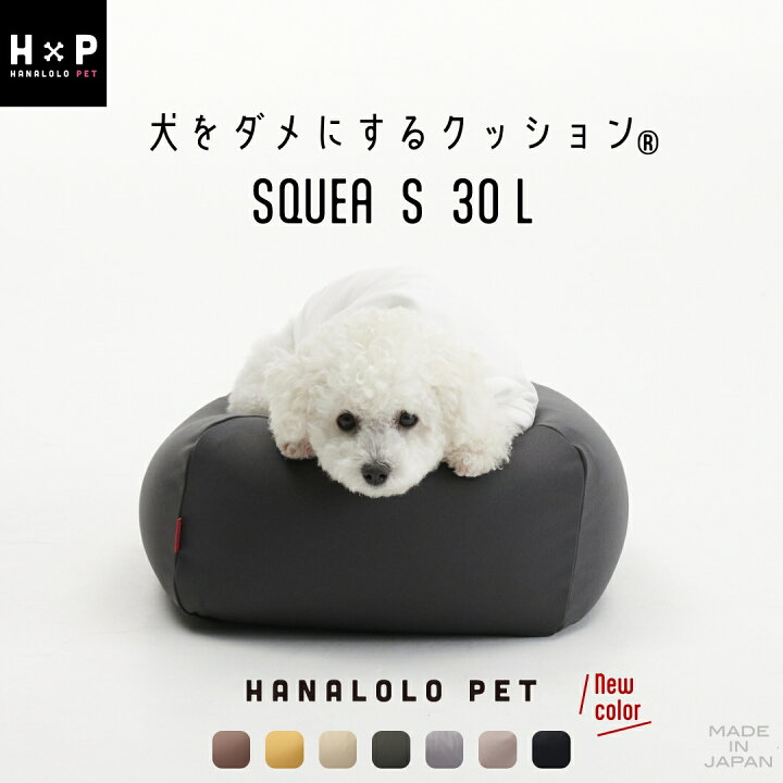 楽天市場】【最大50％OFFｾｰﾙ開催中】スクエアペットクッション Sサイズ 