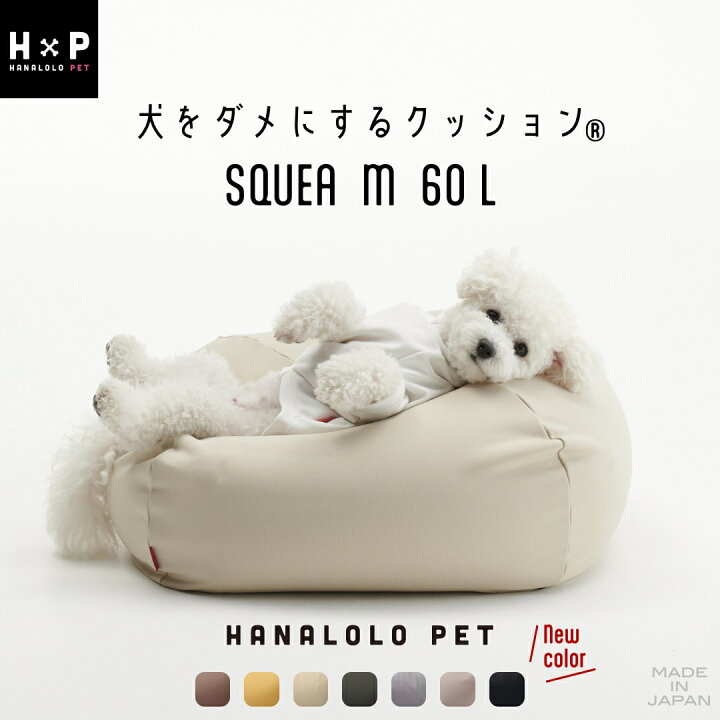 楽天市場】【最大50％OFFｾｰﾙ開催中】スクエアペットクッション Mサイズ 