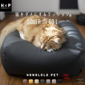 スクエアペットクッション 猫 ネコ をダメにする クッション ペットベッド Mサイズ カバーセット ネコ ビーズクッション 補充 カバー クレアビーズ 日本製 ハナロロ