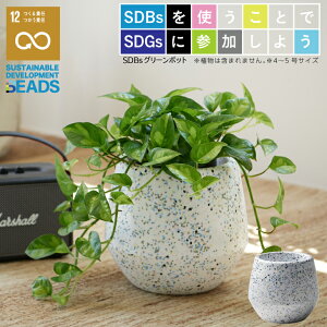 プランター 6号 植木鉢の人気商品 通販 価格比較 価格 Com