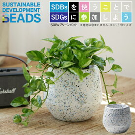 楽天市場 ビーズ ガーデニング 農業 花 ガーデン Diy の通販