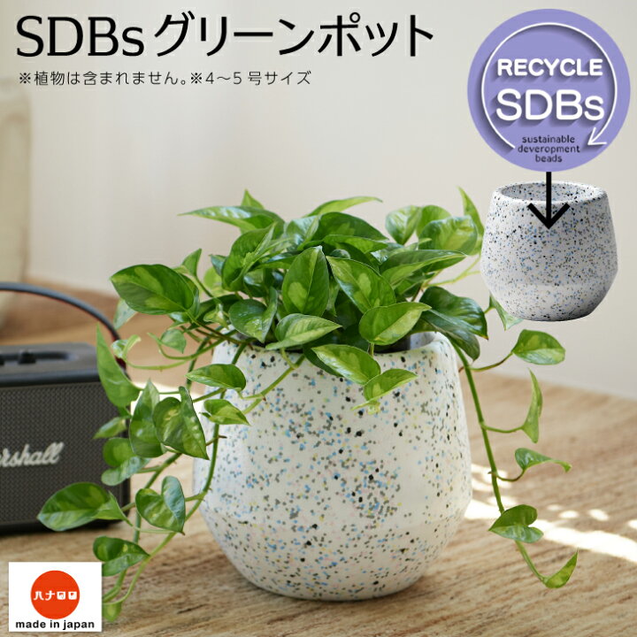 楽天市場 ７色カラービーズの植木 鉢 カバー ５号 ６号鉢用 耐熱性 観葉植物 おしゃれ 鉢植え 鉢皿 サステナブル Sｄｇｓつくる責任 つかう責任 グリーンポット Ss ハナロロ クッション ソファの店