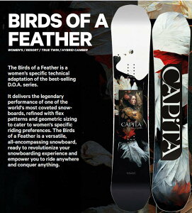 24-25 CAPITA / Ls^ BIRDS OF A FEATHER o[hIutFU[ fB[X Xm[{[h  2025 ^