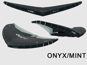 F-ONE Gt SWINGV5 5.5 XEBOuC5 T[tECO JCgECO ECOT[tB ECOtHC